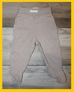 Półśpiochy rozm. 62