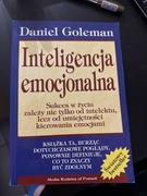 Inteligencja emocjonalna Daniel Goleman