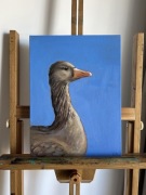 Obraz olejny ptak gęś na niebieskim tle 40*30 cm 