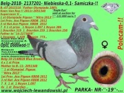 Belg Super Samiczkę 2018r dokumenty  Koen Van Roy.