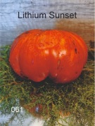 061-Lithium Sunset. Pomidory kolekcjonerskie.