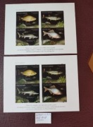 4711-4714** 4711-14** A i B ND Ryby Zagrożone Wyginięciem - NOWODRUK 2016