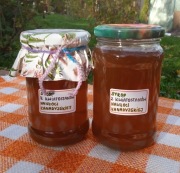 SYROP Z KWIATOSTANÓW NAWŁOCI KANADYJSKIEJ (310 ml, cukier ok. 37%) - 2025 