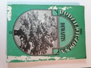 DEWAJTIS - Maria Rodziewiczówna