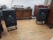 Vestlyd V12C Speakers - Black para cena za parę.