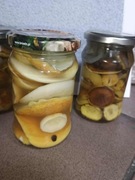 PRAWDZIWKI MARYNOWANE same czapeczki