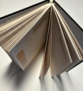 PLANER 4.0 od ALIxON Training