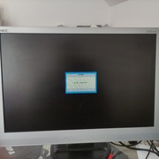 Monitor LCD NEC LCD22WV 22 " 