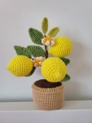 Drzewo cytrynowe w doniczce na szydełku