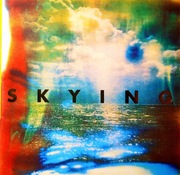 The Horrors – Skying (CD, 2011)