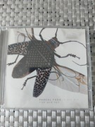 Pascal F.E.O.S. in the Mix - Rize and Fall (Cocoon mix 06)