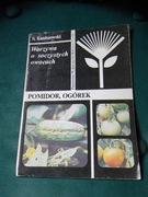 Pomidor Ogórek Kaniszewski 