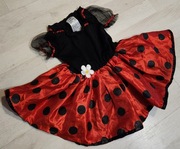 strój biedronki sukienka grochy biedronka 908