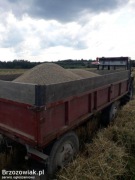 Jęczmień ozimy + owies karma dla gryzoni 5kg natura prosto z pola