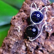 Wisiorek kot z kamieniem Noc Kairu