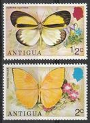 ANTIGUA - MOTYLE - CZYSTE **