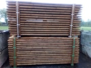 Palisada do drzewek 2,5m fi-5