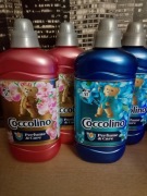 Promocja  Cocolino 51 prań 