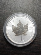 1 oz Maple Leaf Ruthenium 2023