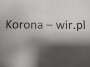 Domena korona-wir. Pl