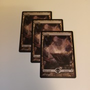 Swamp - Full Art MTG land