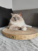 Drapak dla kota z kartonu okrągły 45cm dwustronny