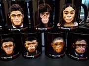 Zestaw 13 kubków Monkey Stars 