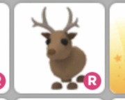 R Reindeer Adopt me Roblox