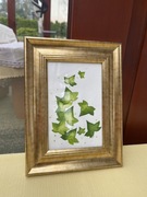 Obraz akwarela, oryginał, botaniczna liście bluszczu, z ramka