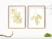 ZESTAW PLAKATÓW: ZŁOTY DUET, KOBIETY BEŻ, ZIOŁOWY