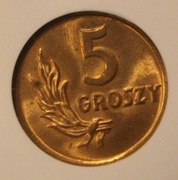 5 GR GROSZY 1949 GCN MS68 - RZADKOŚĆ ODMIANA A