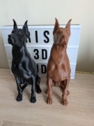 Doberman figurka  25 cm