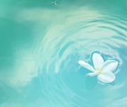 Calcotr 6 mg 2 opakowania