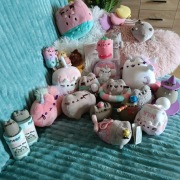 Maskotki pusheen różne 