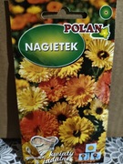 Nagietek mix kolorów 