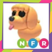 Neon Fly Ride Toy Poodle NFR | Adopt Me | Roblox