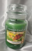 Beautiful Day Yankee Candle duża świeca zapachowa