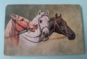 Konie - gwiazda Dawida - znaczek z Hitlerem - pocztówka wysłana w 1944