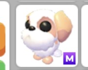 Adopt me pet shih tzu meganeon