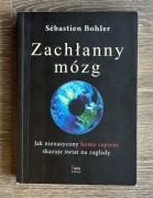 Zachłanny mózg - Sébastien Bohler