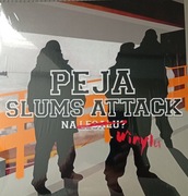 Na Winylu Peja Winyl