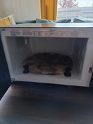 Samsung RoadMate mikrofalówka 24v