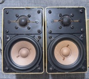 Acron 100C w kolorze złotym (champagne gold)