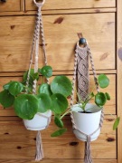 Kwietniki komplet makrama na ścianę i pod sufit BEŻOWY