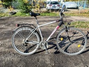 Rower Torrek performance 10