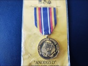 US Global War on Terrorism Service Medal (GWOT-SM) - anodised 