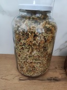 Duży słój ziela nawłoci 