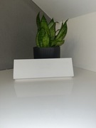 Apple Watch series 9