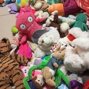 Pluszaki różne zestaw