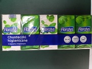 Chusteczki higieniczne Floralys miętowe, 10x10, 100% celulozy